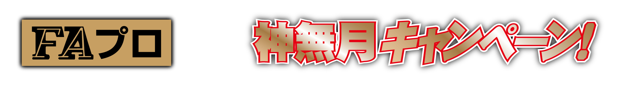fapro_2610_title